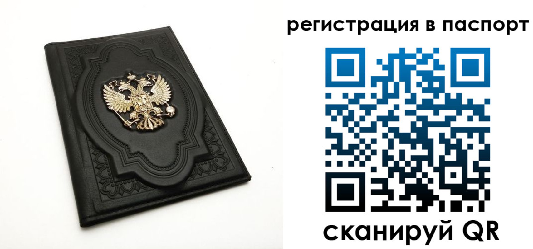 прописка регистрация в Амурской области