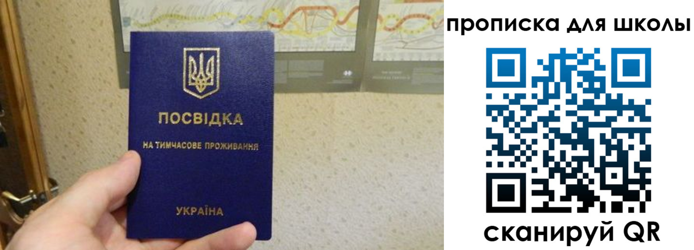 найти адрес прописки в Амурской области